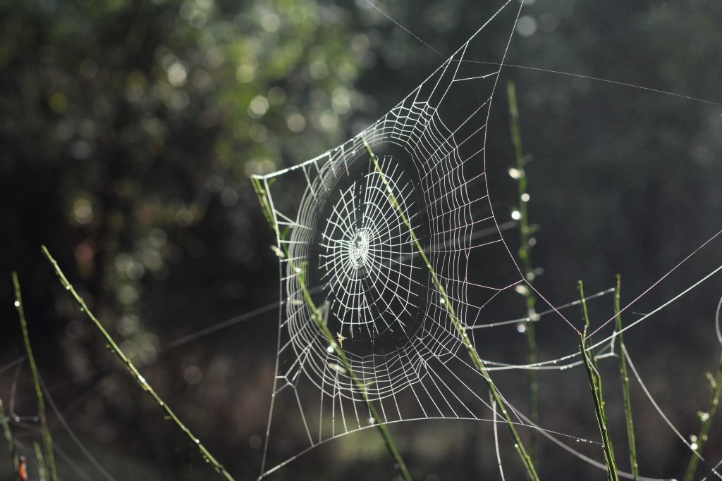 Webhooks are Great! The Top 10 uses of Webhooks